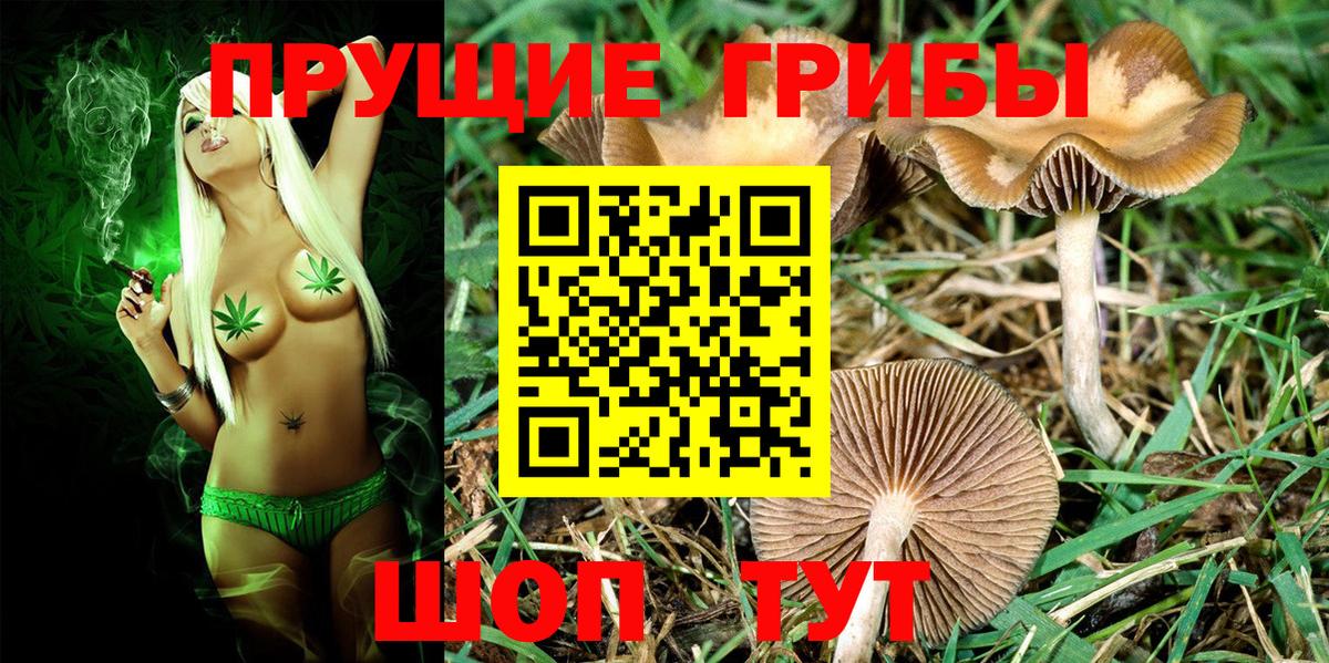 Джанкой  Псилоцибиновые грибы мицелий  Вход с VPN 
